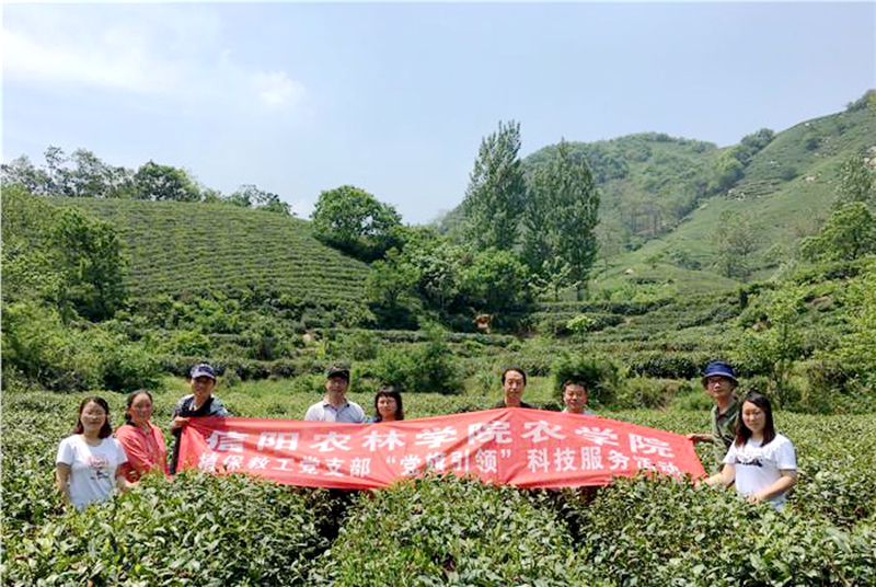 国产成人精品一区二区三区