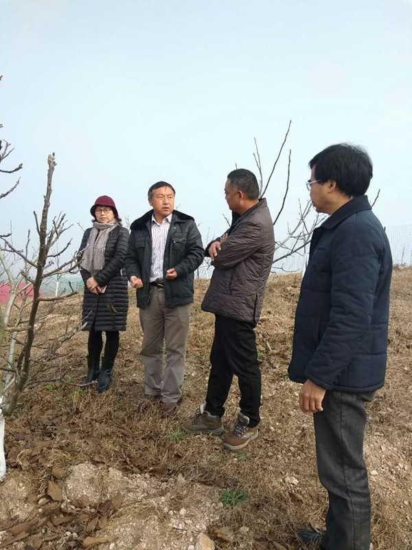 国产成人精品一区二区三区