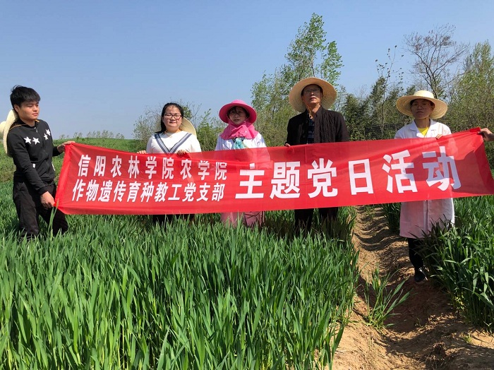 国产成人精品一区二区三区