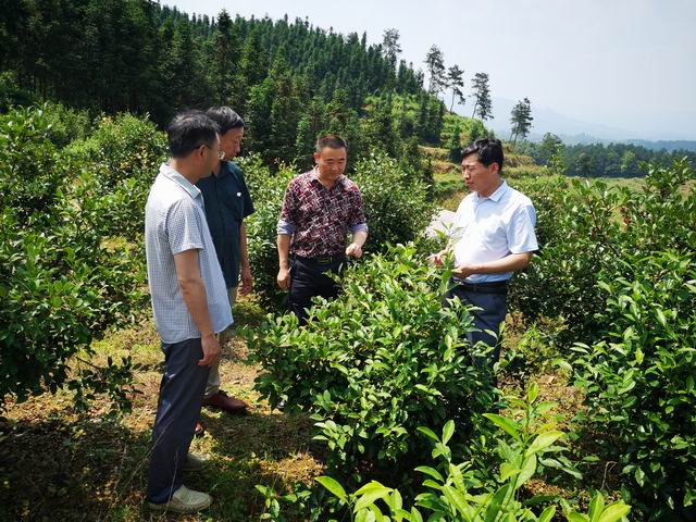 国产成人精品一区二区三区