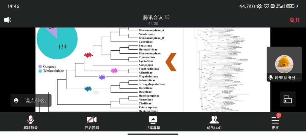 国产成人精品一区二区三区