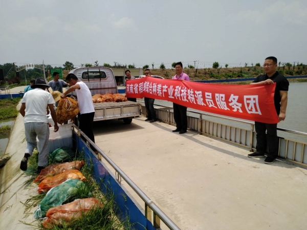 国产成人精品一区二区三区