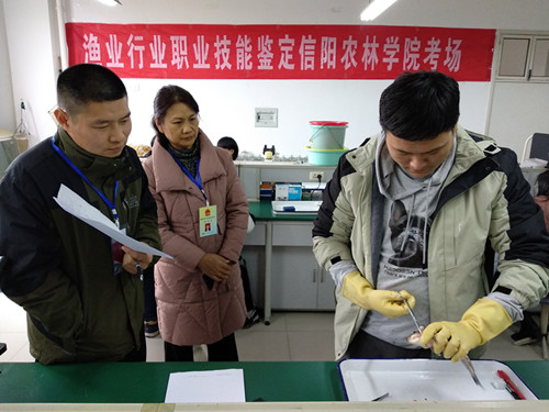 国产成人精品一区二区三区
