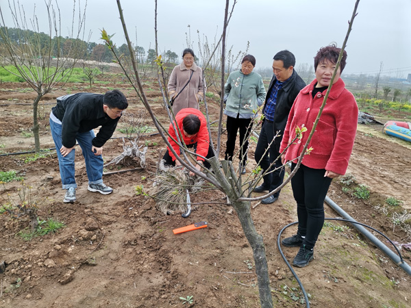 国产成人精品一区二区三区