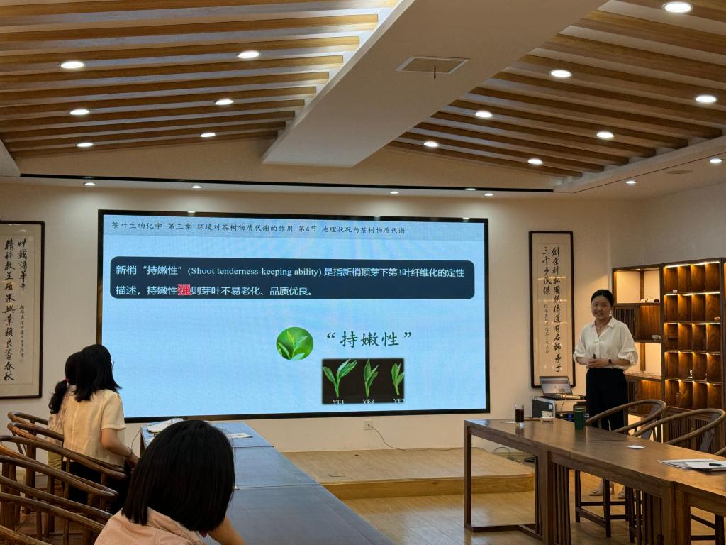 国产成人精品一区二区三区