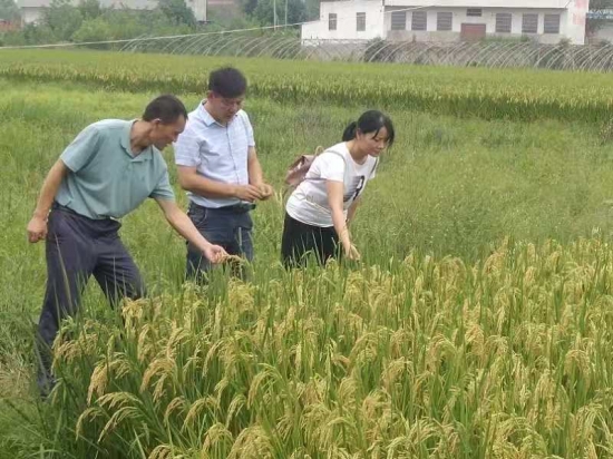 国产成人精品一区二区三区