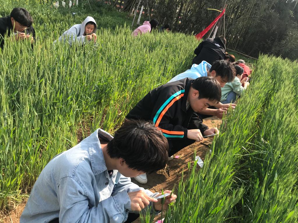 国产成人精品一区二区三区