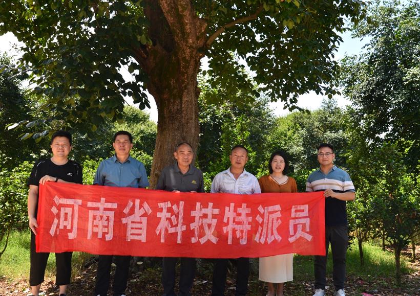 国产成人精品一区二区三区