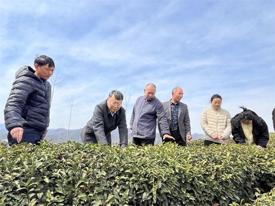 国产成人精品一区二区三区