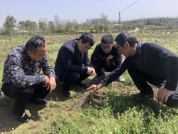 国产成人精品一区二区三区