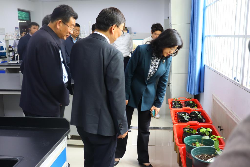国产成人精品一区二区三区