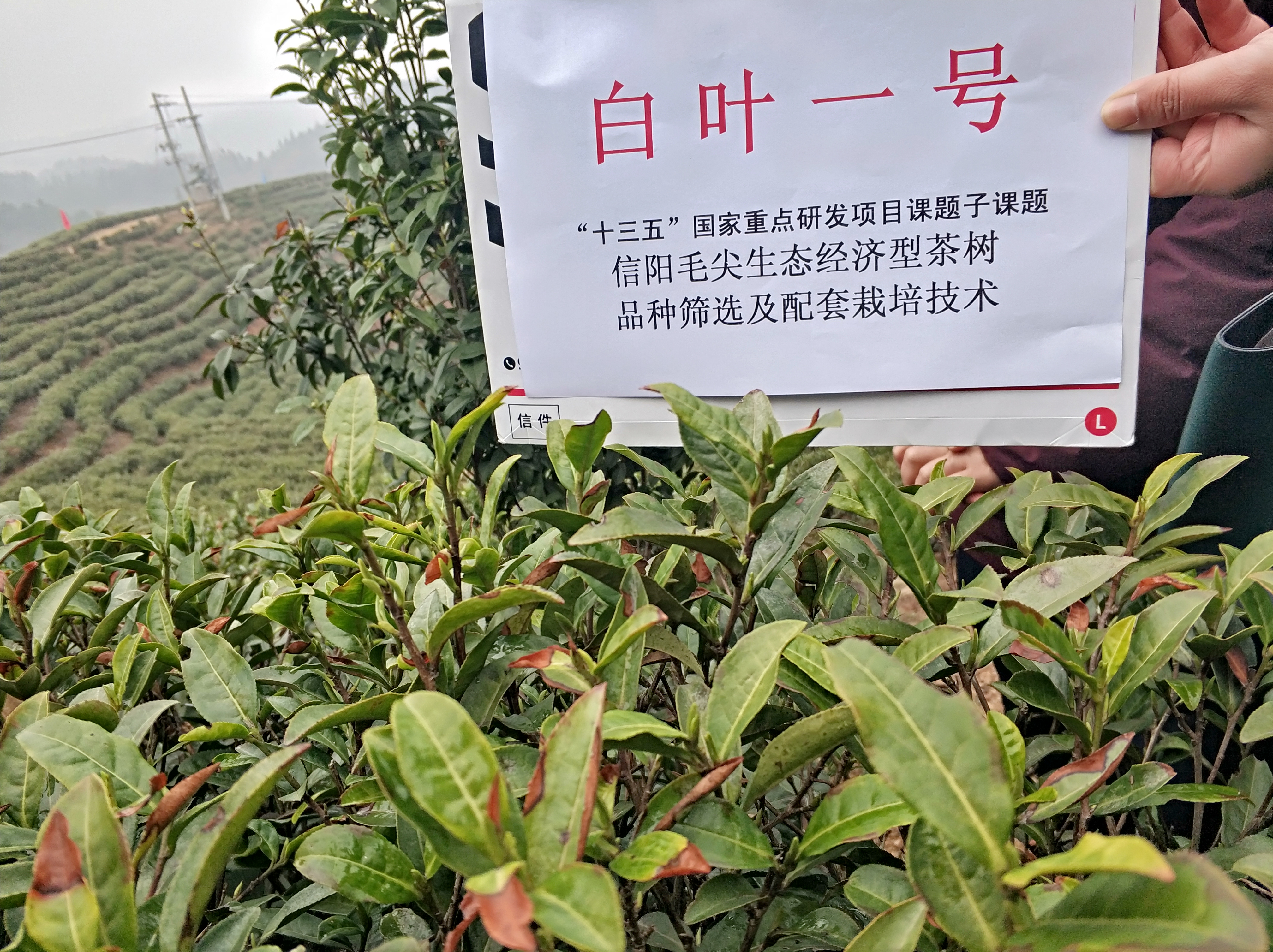 国产成人精品一区二区三区