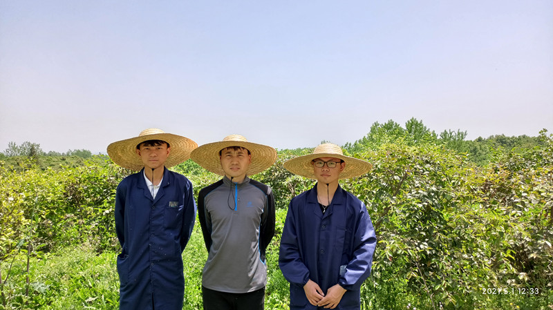 国产成人精品一区二区三区