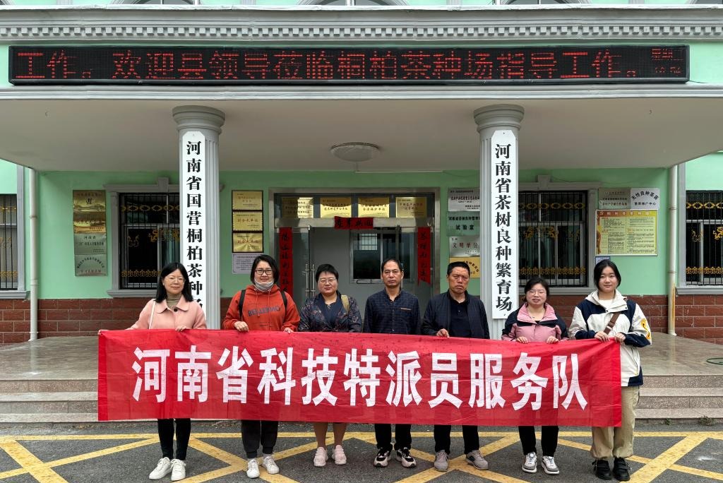 国产成人精品一区二区三区