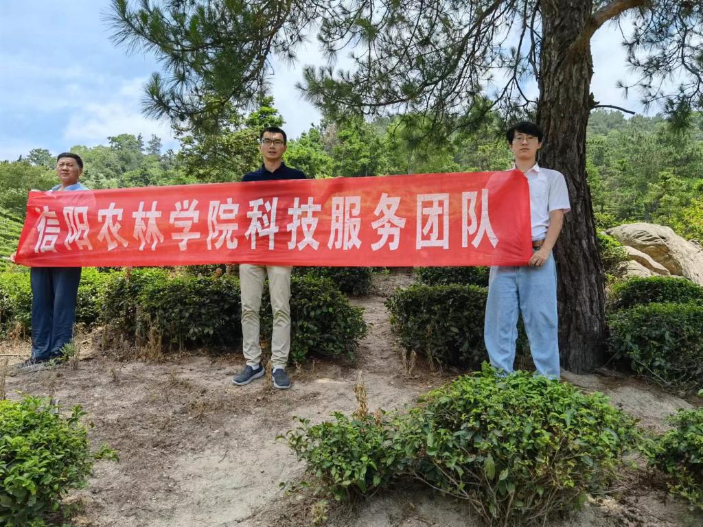 国产成人精品一区二区三区