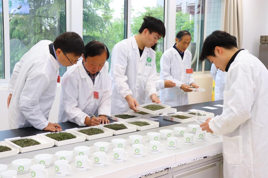 国产成人精品一区二区三区