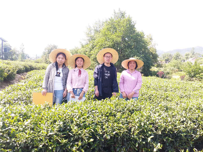 国产成人精品一区二区三区
