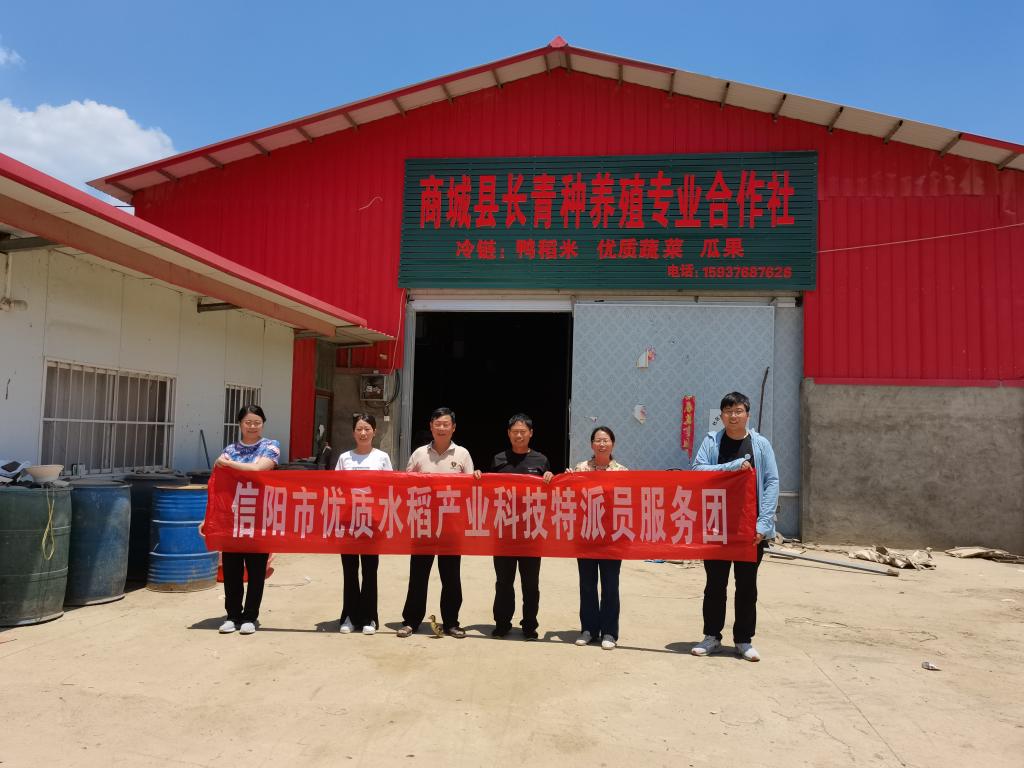 国产成人精品一区二区三区