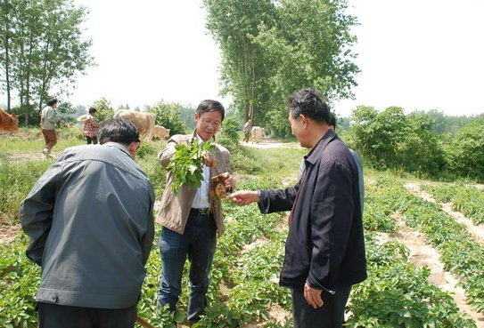 国产成人精品一区二区三区