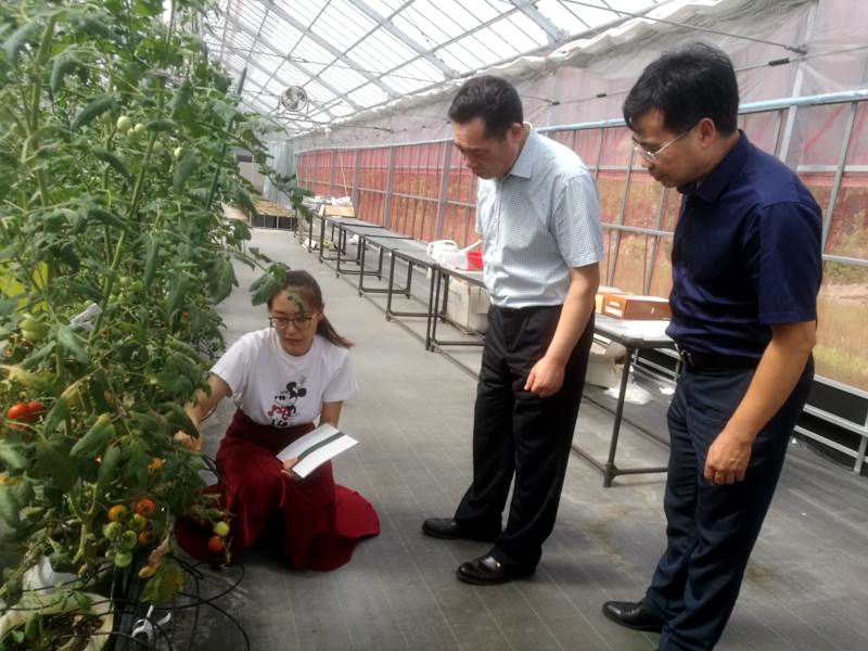 国产成人精品一区二区三区