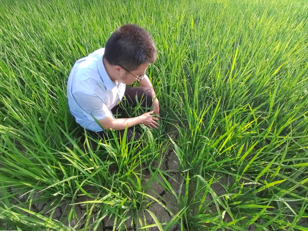 国产成人精品一区二区三区