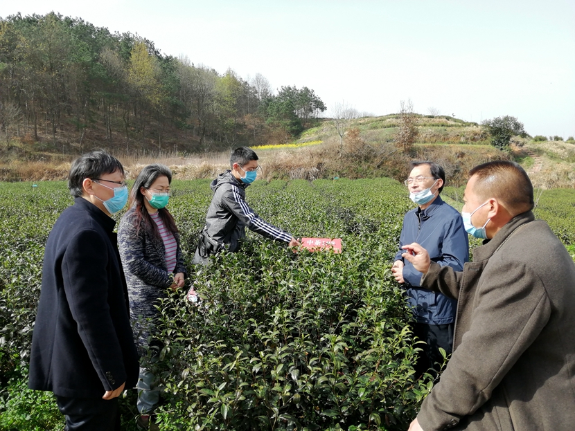 国产成人精品一区二区三区