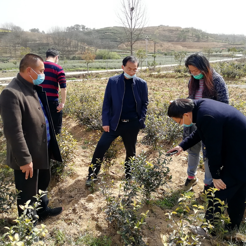 国产成人精品一区二区三区