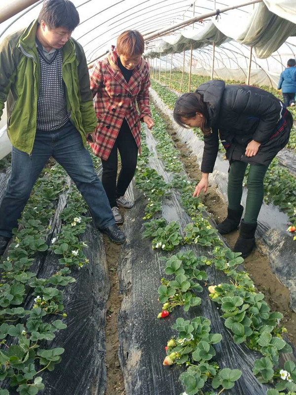 国产成人精品一区二区三区
