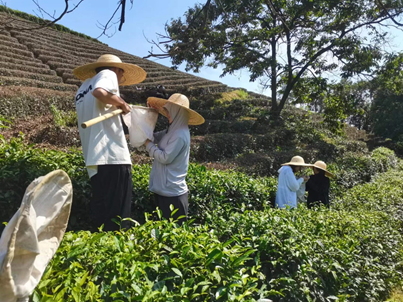 国产成人精品一区二区三区