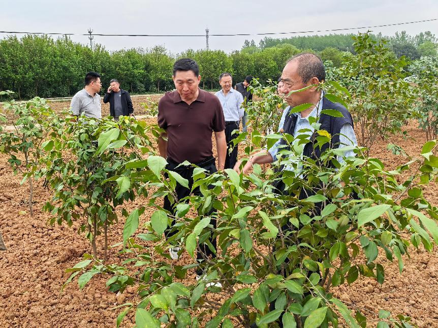 国产成人精品一区二区三区