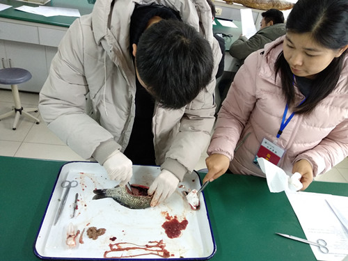 国产成人精品一区二区三区