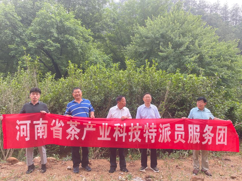 国产成人精品一区二区三区