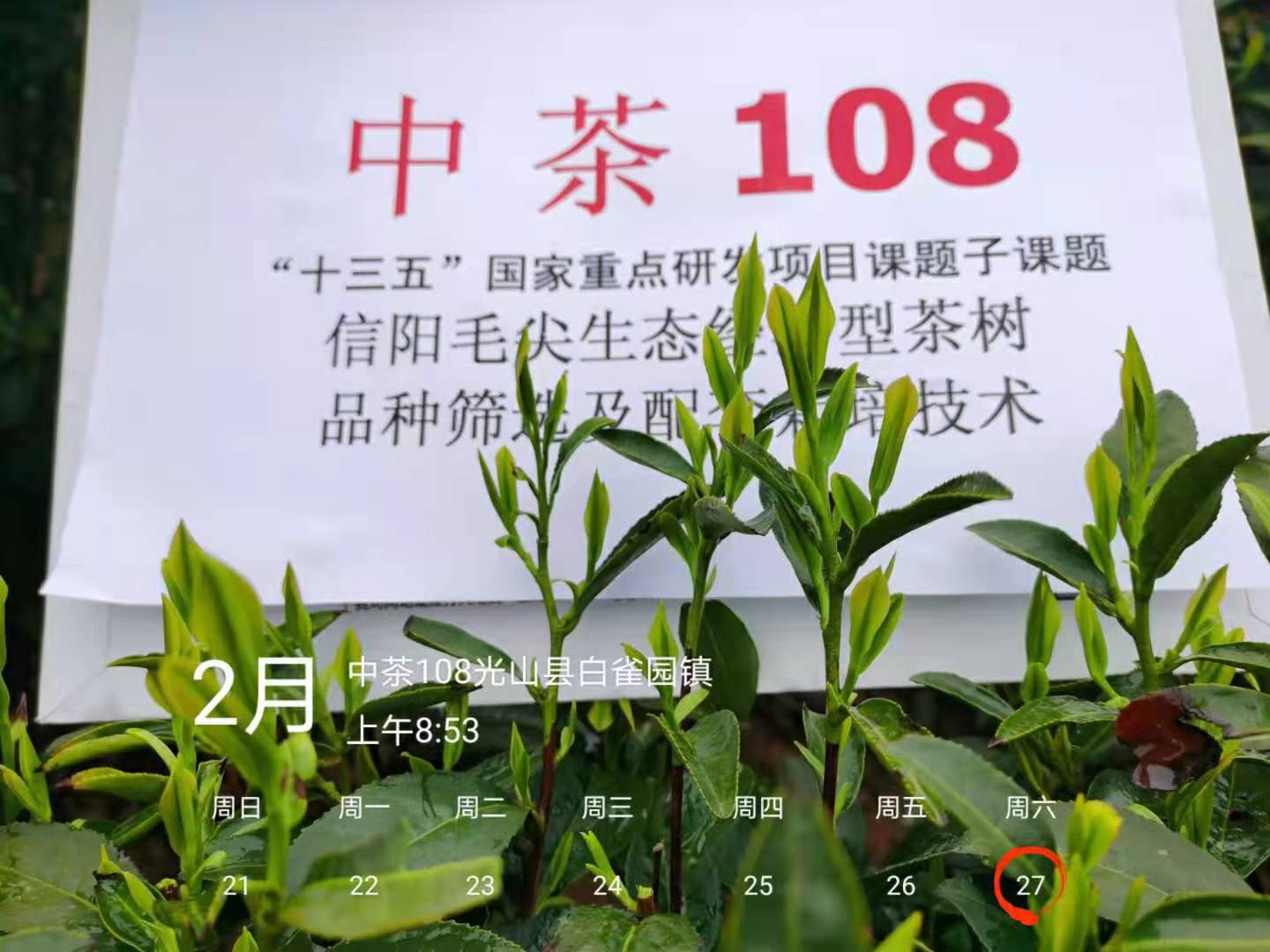 国产成人精品一区二区三区