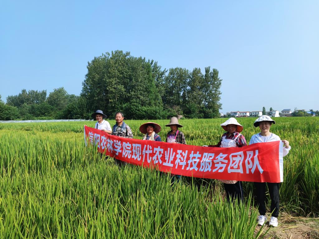 国产成人精品一区二区三区