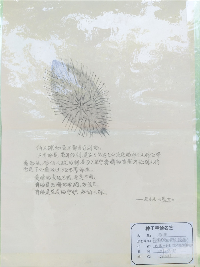国产成人精品一区二区三区