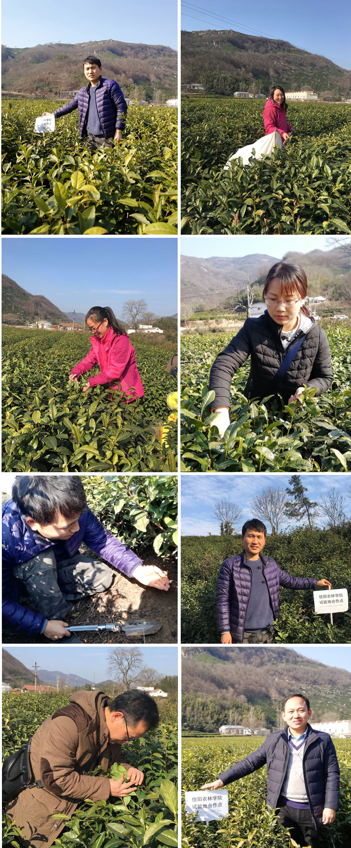 国产成人精品一区二区三区