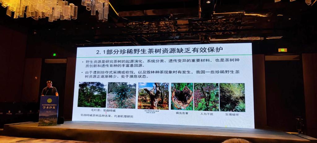 国产成人精品一区二区三区