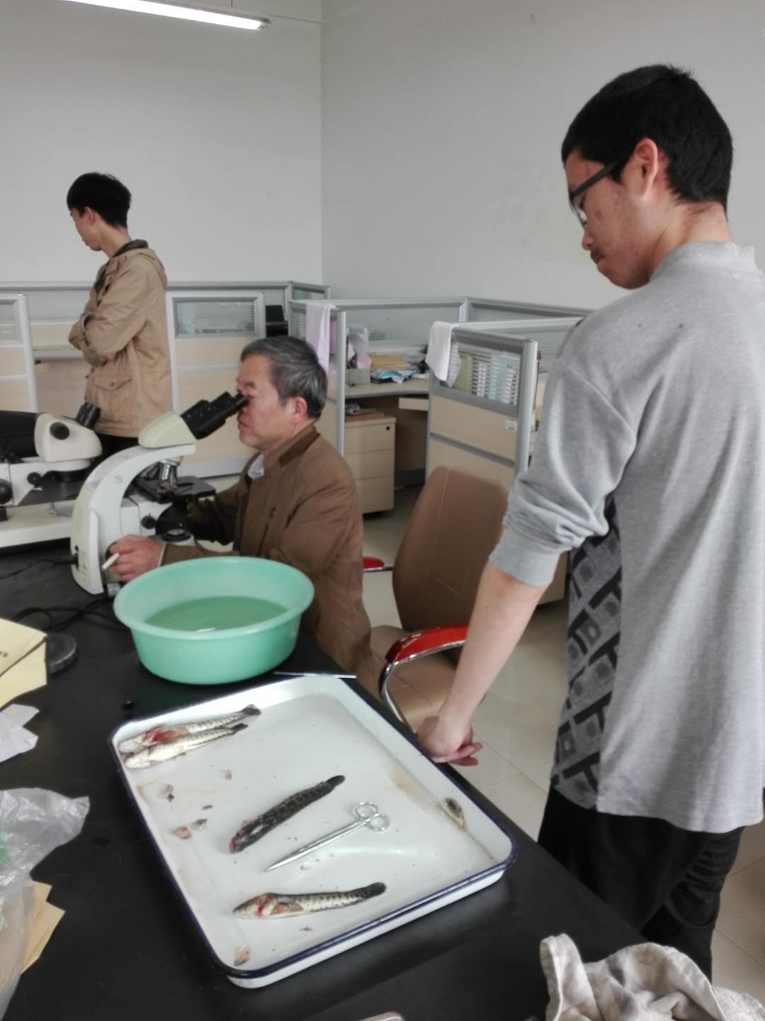 国产成人精品一区二区三区