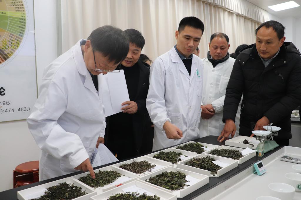国产成人精品一区二区三区