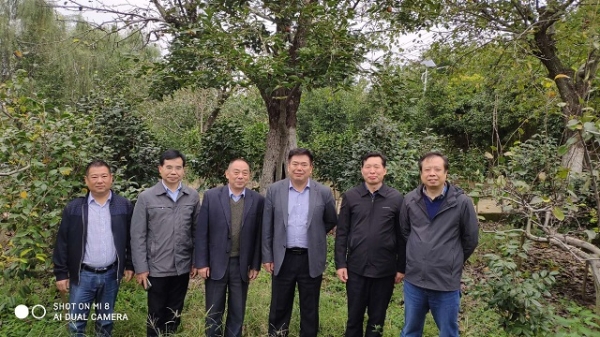 国产成人精品一区二区三区