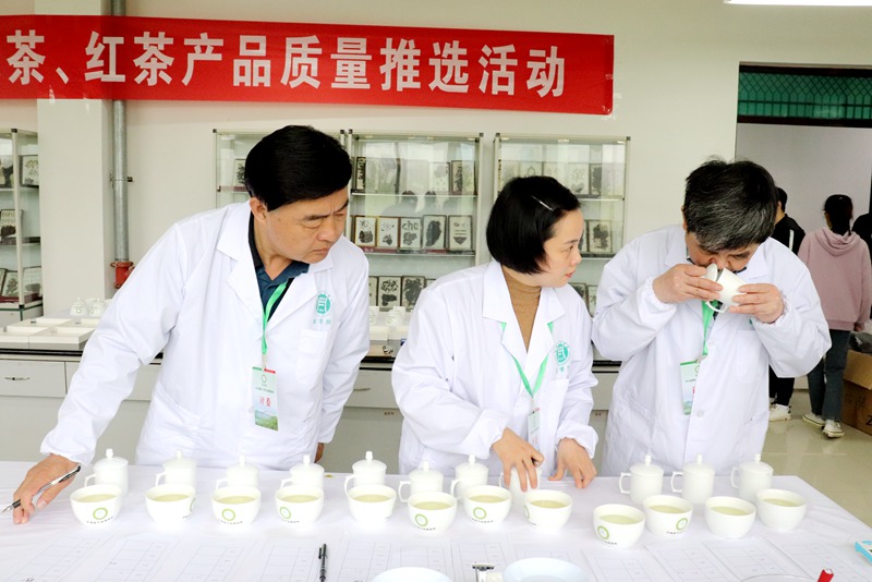 国产成人精品一区二区三区