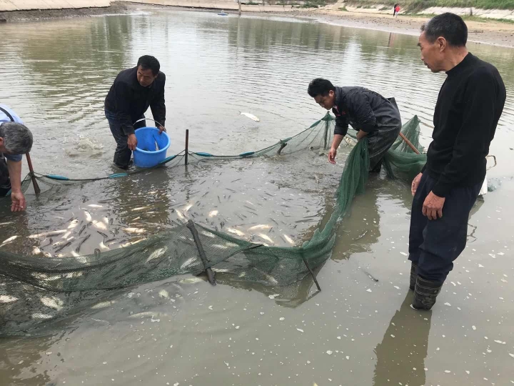 国产成人精品一区二区三区