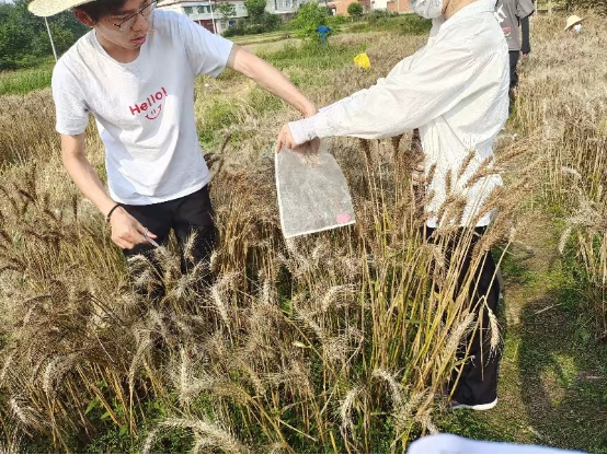 国产成人精品一区二区三区