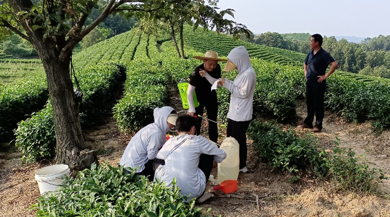 国产成人精品一区二区三区