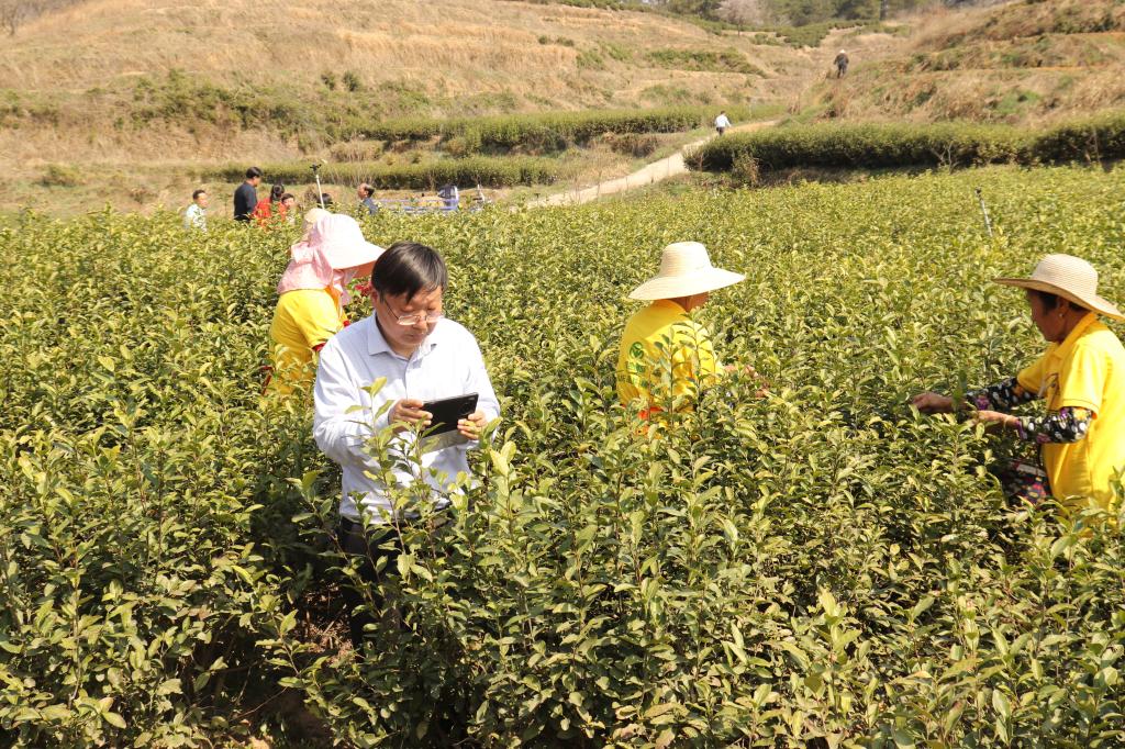国产成人精品一区二区三区