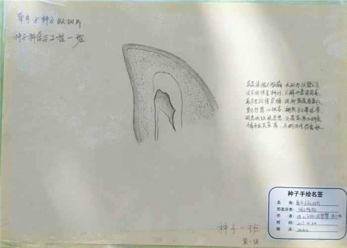 国产成人精品一区二区三区