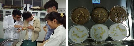 国产成人精品一区二区三区