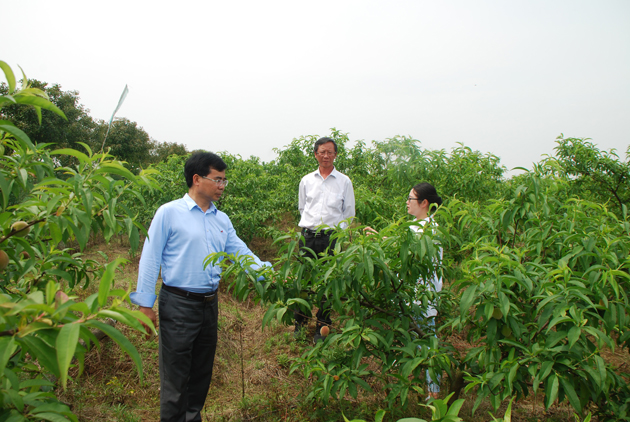 国产成人精品一区二区三区
