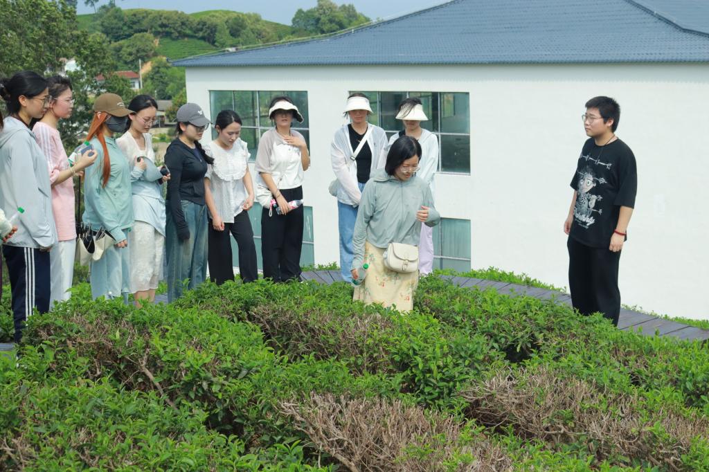 国产成人精品一区二区三区
