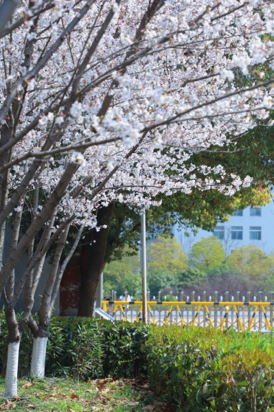 国产成人精品一区二区三区